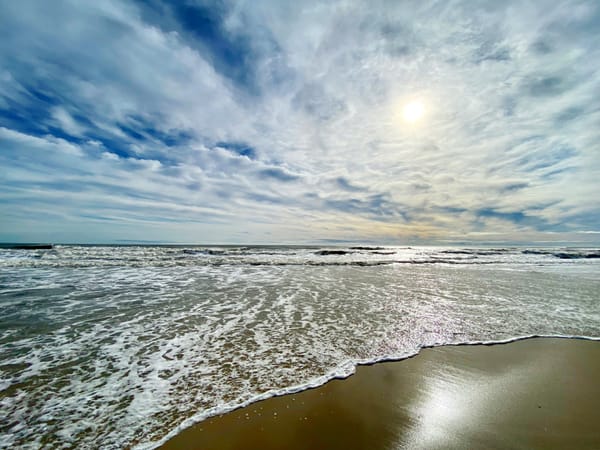 Picture of the ocean with the sun glistening off of the water and the wet sand.